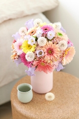 April Flower of the Month - Gerbera